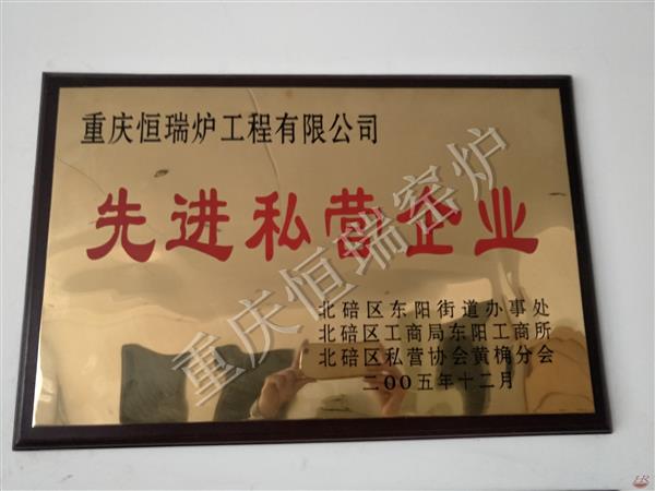 2005年先進私營企業(yè)